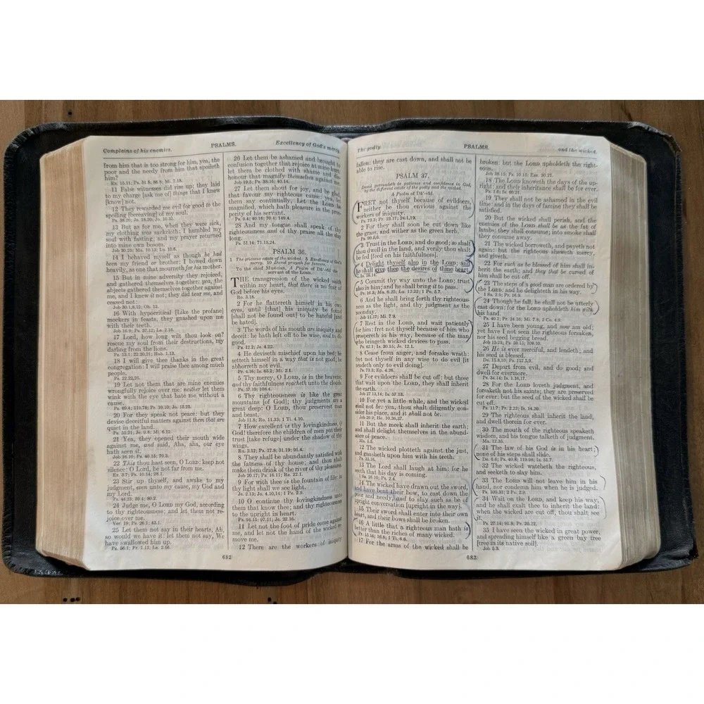 The New Analytical Bible & Dictionary, Authorized KJV Dickson 1941, Leather
